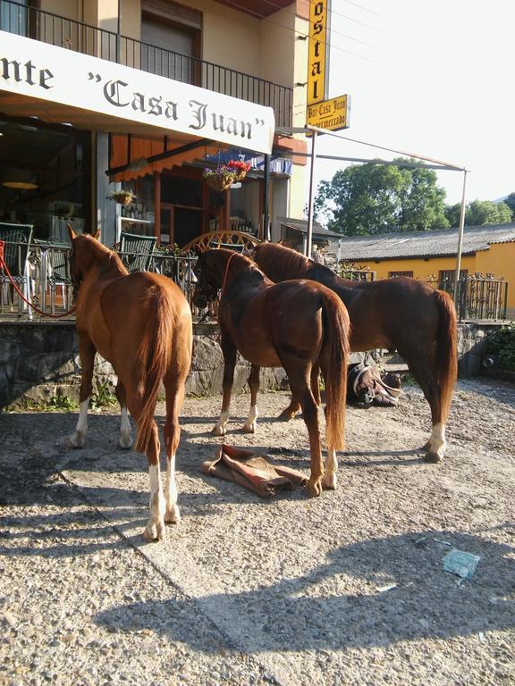 Hostal Casa Juan Hotell Castejón de Sos Exteriör bild